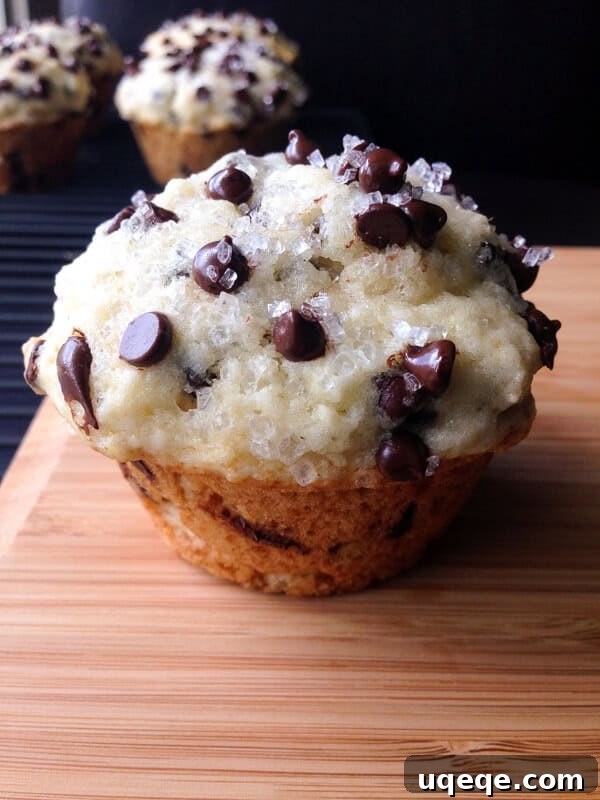 10 Memorable Recipes from 2015 4 Bakery Style Chocolate Chip Muffins. Big, fluffy, buttery & filled with chocolate chips! www.justsotasty.com