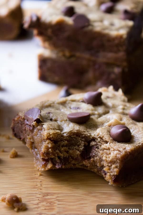 10 Memorable Recipes from 2015 5 Peanut Butter Blondies. Fudgy, chewy peanut butter blondies filled with chocolate chips.