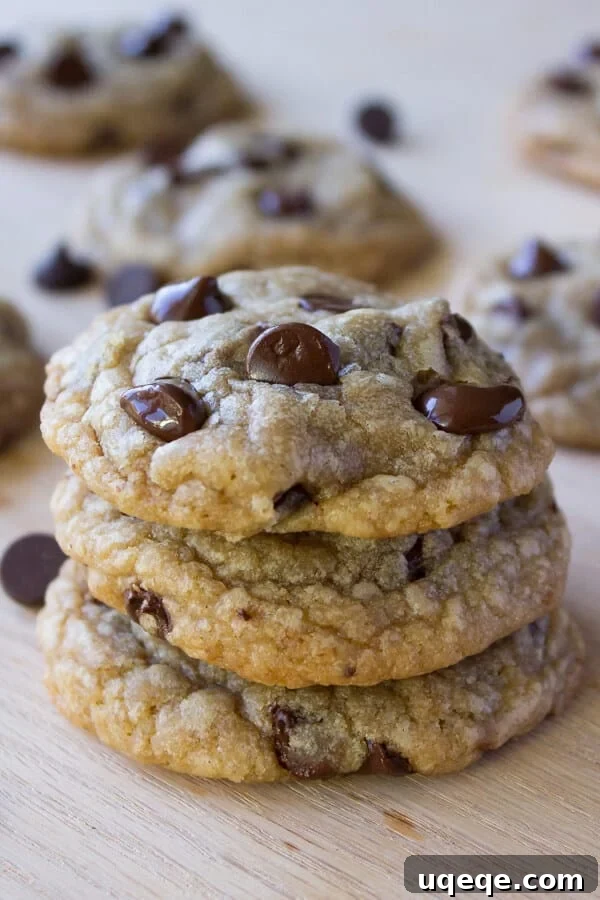 10 Memorable Recipes from 2015 6 Chocolate Chip Cookies. Ultra chewy, soft, thick, buttery & oozing with chocolate chips - these cookies are perfection.
