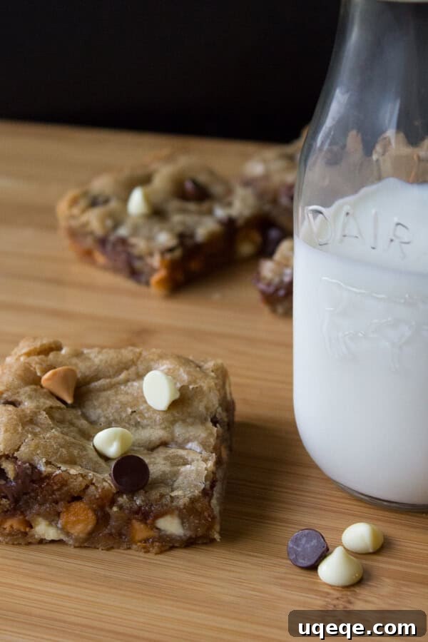 10 Memorable Recipes from 2015 8 Triple Chip Cookie Bars. Chewy, fudgy & filled with chocolate chips - you'll love how easy this recipe is.
