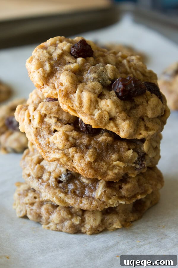 10 Memorable Recipes from 2015 10 Oatmeal Raisin Cookies. Super soft, chewy and packed with flavor from vanilla, cinnamon & nutmeg - you won't want to miss this recipe!