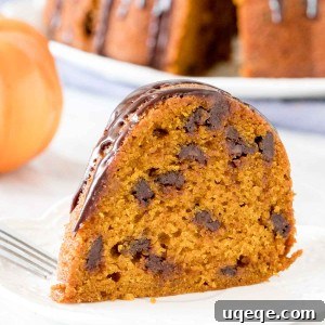 Slice of pumpkin chocolate chip cake on a plate.