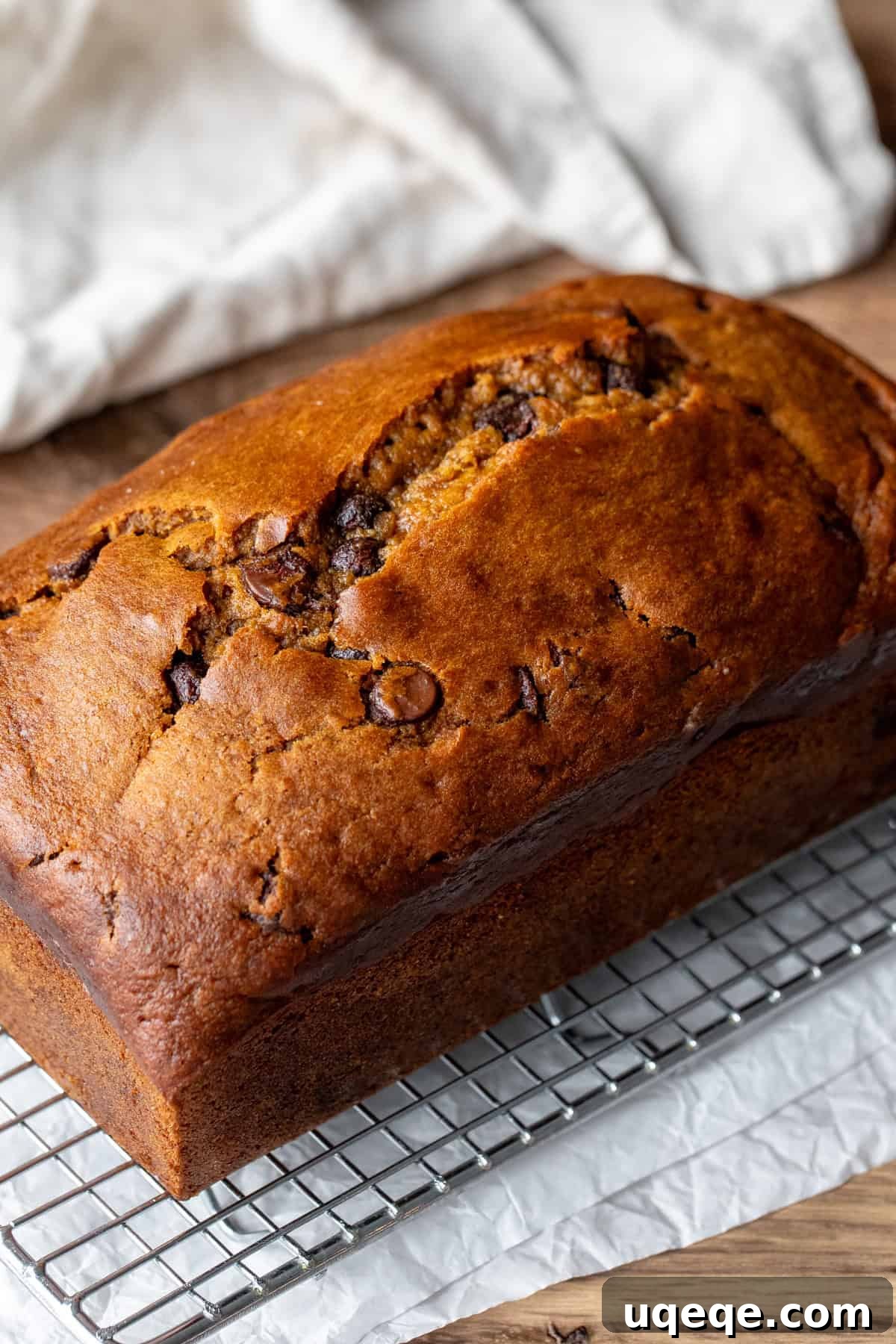 Spiced Pumpkin Chocolate Chip Bread 6 A golden-brown pumpkin bread with melted chocolate chips, resting on a cooling rack after baking, filling the kitchen with its irresistible fall aroma.
