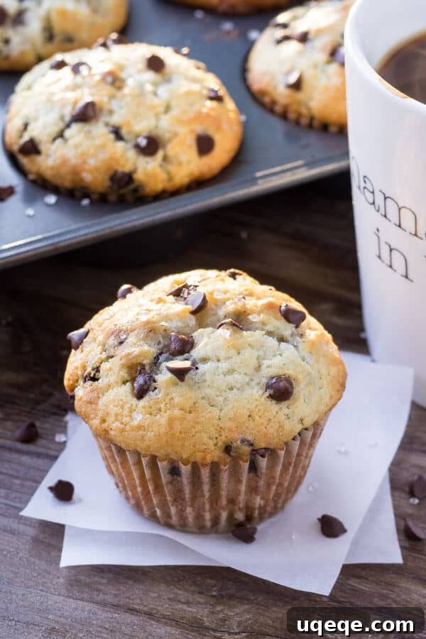 Ultimate Bakery Chocolate Chip Muffins 2 One big, fluffy bakery-style chocolate chip muffin with a cup of coffee and a pan full of muffins in the background. The muffin is golden brown with melted chocolate chips.