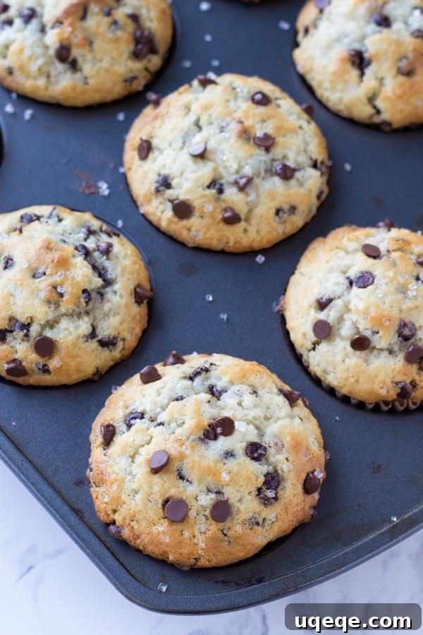 Ultimate Bakery Chocolate Chip Muffins 3 A pan of big, fluffy, golden-brown bakery-style chocolate chip muffins fresh out of the oven, ready to be enjoyed.