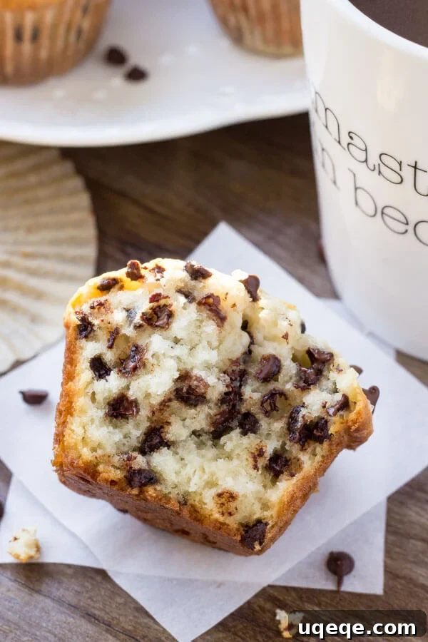 Ultimate Bakery Chocolate Chip Muffins 4 A bakery-style chocolate chip muffin, made with sour cream and buttermilk, broken in half to reveal its incredibly soft, fluffy, and moist texture with abundant chocolate chips.