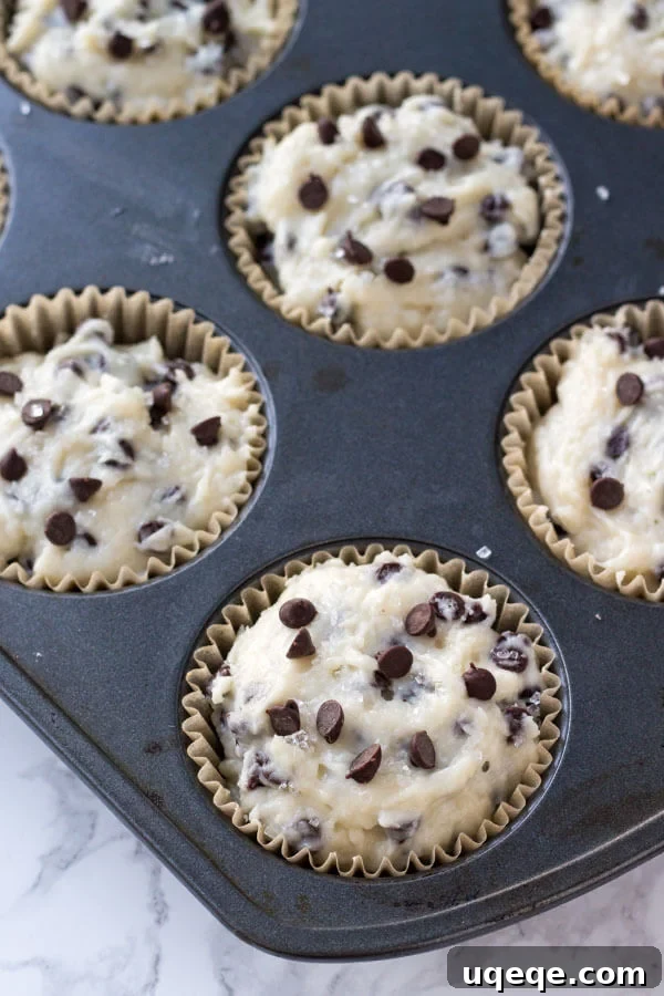 Ultimate Bakery Chocolate Chip Muffins 5 A muffin pan filled to the brim with chocolate chip muffin batter made with sour cream and buttermilk, sprinkled with extra chocolate chips and coarse sugar, ready to be baked into tall, fluffy bakery muffins.