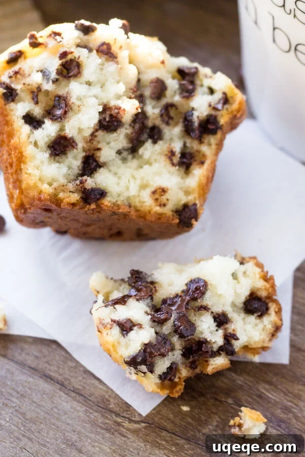 Ultimate Bakery Chocolate Chip Muffins 6 A big, fluffy bakery-style chocolate chip muffin, expertly baked and broken in half, showcasing its perfect texture and generous chocolate chip distribution.