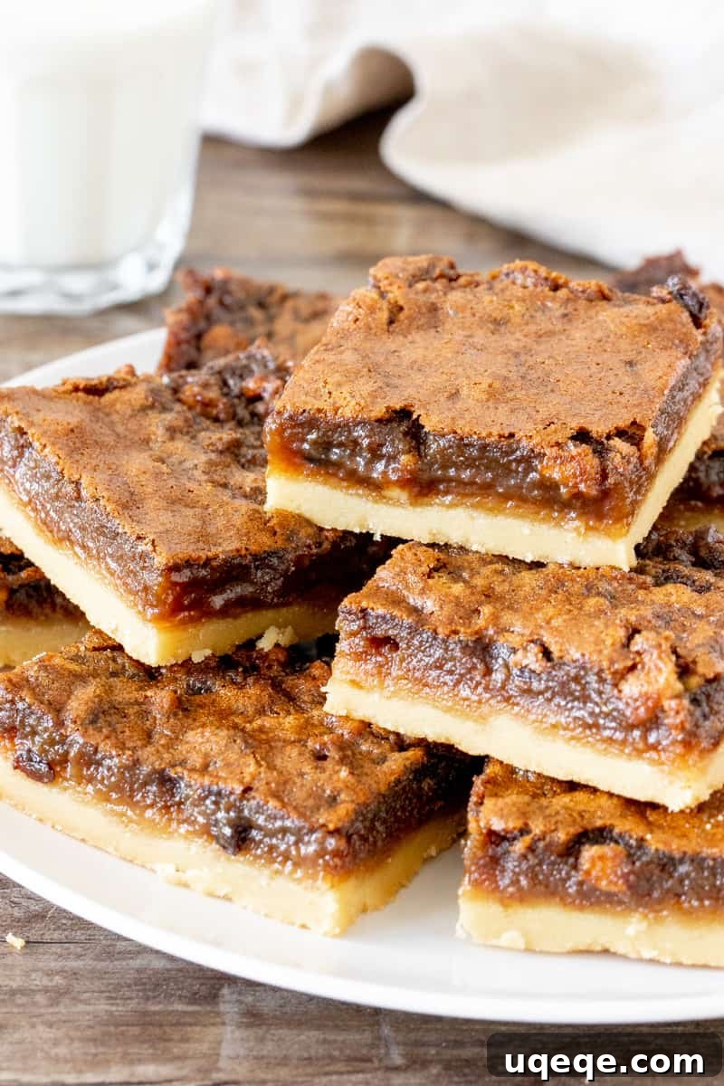 A close-up of sliced butter tart bars, displaying the clean cut edges and the distinct layers of the shortbread crust and the golden, glistening, gooey filling.