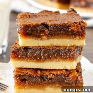 Stack of 3 delicious butter tart squares