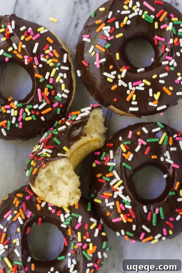 Fluffy Vanilla Baked Doughnuts with Decadent Chocolate Glaze 3 Close-up of a homemade baked vanilla cake doughnut, showing its soft cakey texture and thick, glossy chocolate glaze, ready for sprinkles.