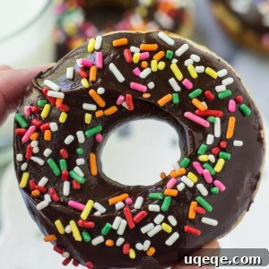 Baked Cake Doughnuts with Chocolate Glaze
