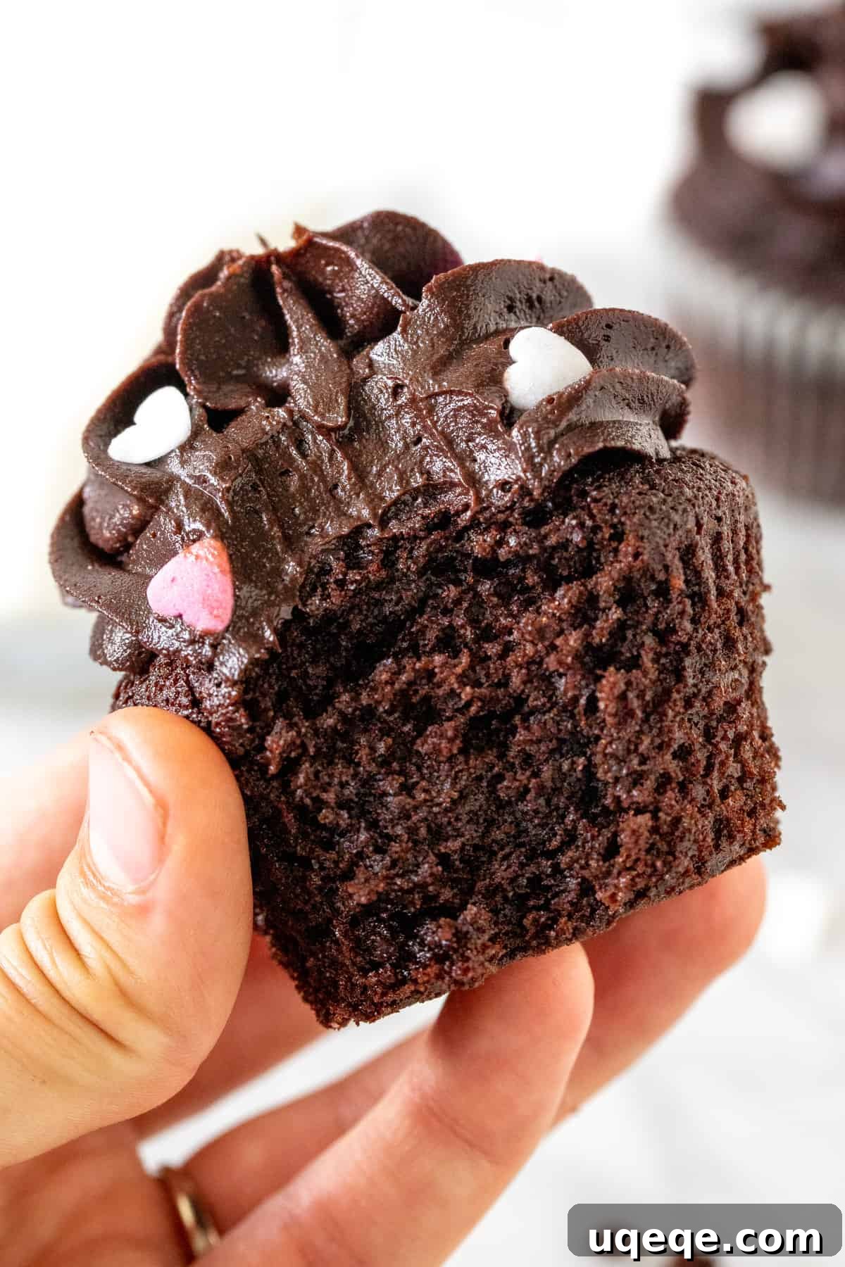 Mini Chocolate Delights 5 A close-up view of a chocolate cupcake with a bite taken out, revealing its enticingly moist and fudgy interior.