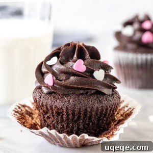 Chocolate cupcake with chocolate frosting and a glass of milk.