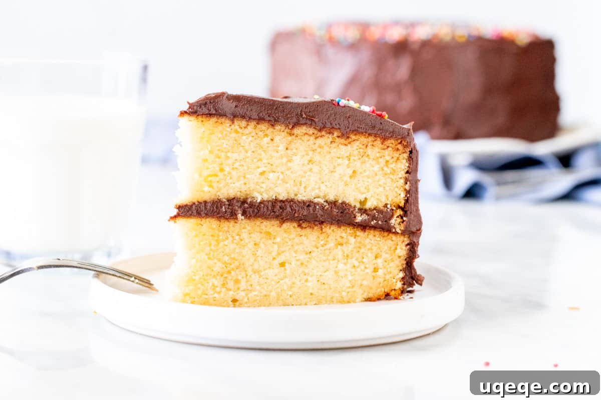 Timeless Birthday Treat 3 A perfectly sliced piece of classic yellow cake with rich chocolate frosting, ready to be enjoyed