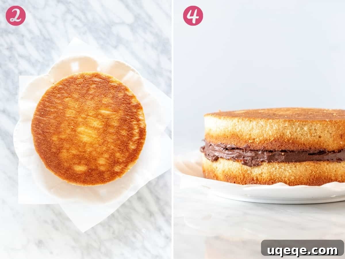 Timeless Birthday Treat 4 Detailed step-by-step images showing the process of assembling a birthday cake with chocolate frosting