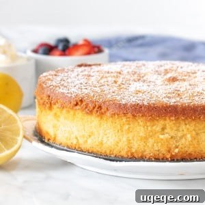 Sun-Kissed Lemon Olive Oil Cake 5 A beautifully round lemon olive oil cake, lightly sprinkled with powdered sugar, ready to be enjoyed.