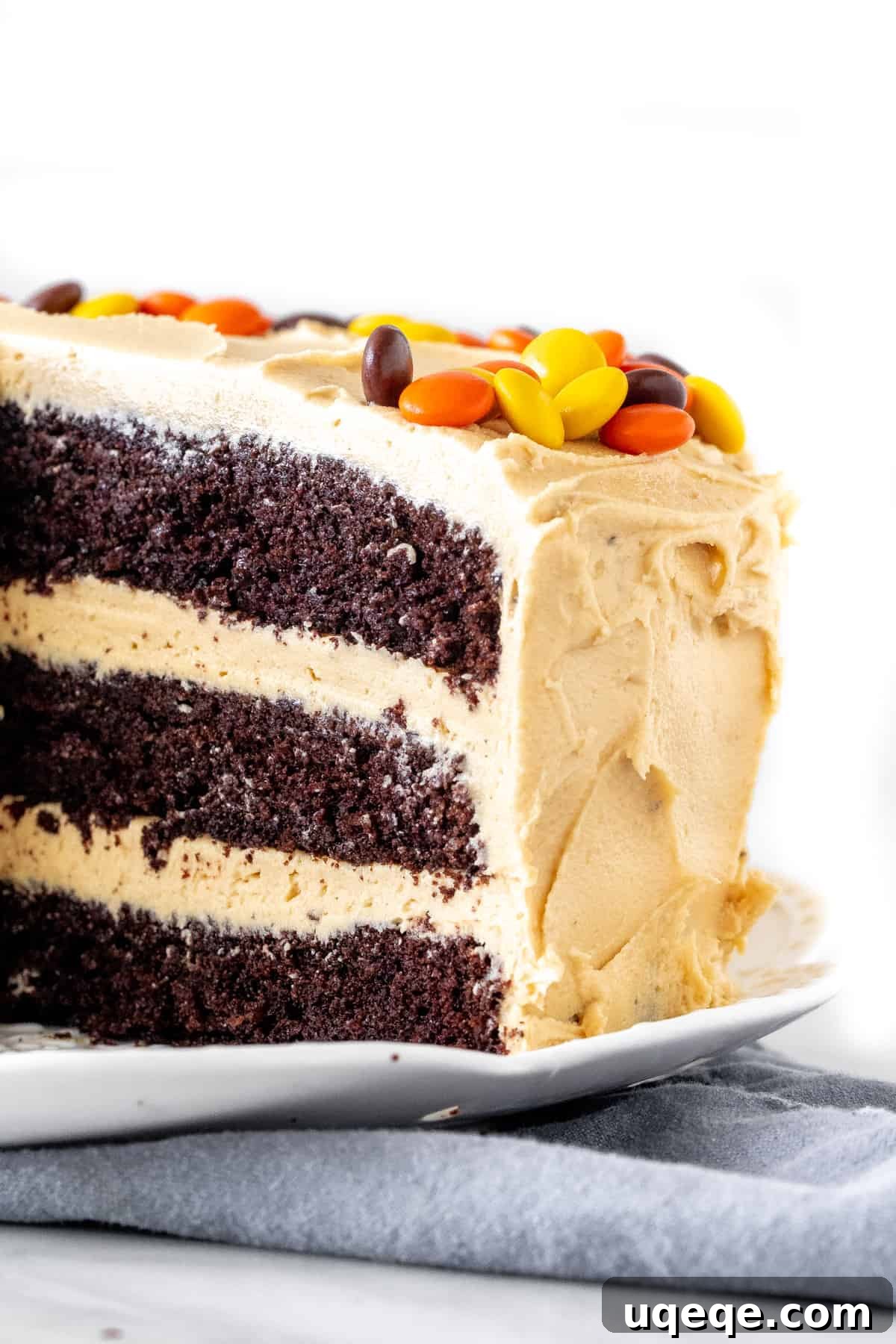 Decadent Chocolate Peanut Butter Dream Cake 4 A beautifully assembled three-layer chocolate cake generously coated with creamy peanut butter frosting.