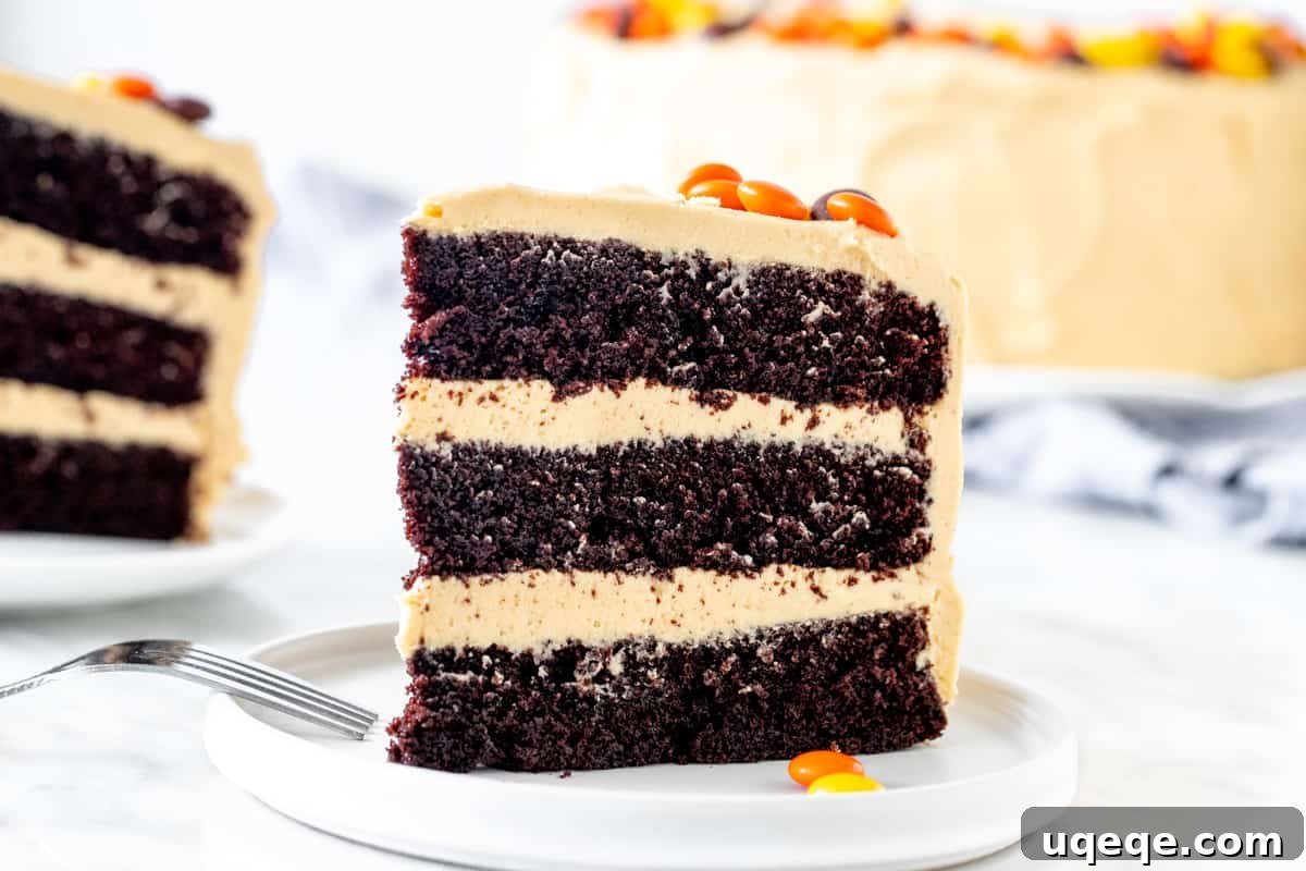 Decadent Chocolate Peanut Butter Dream Cake 6 A perfectly sliced piece of chocolate peanut butter layer cake on a plate, ready to be enjoyed.