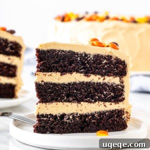 A delicious slice of chocolate peanut butter cake on a white plate, ready to be served.
