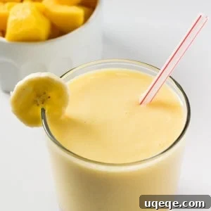 Tropical Mango Bliss 4 Thick, tropical & full of sunny fruit flavors to brighten even the dreariest of days - Make this Mango Fruit Smoothie for the perfect healthy pick-me up! www.justsotasty.com