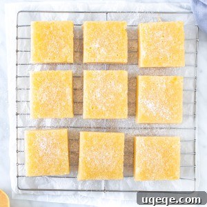 Nine lemon bars on a cooling rack sprinkled with powdered sugar.