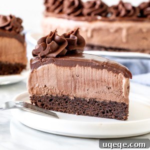 Frozen Chocolate Indulgence 6 Slice of ice cream cake with brownie base.