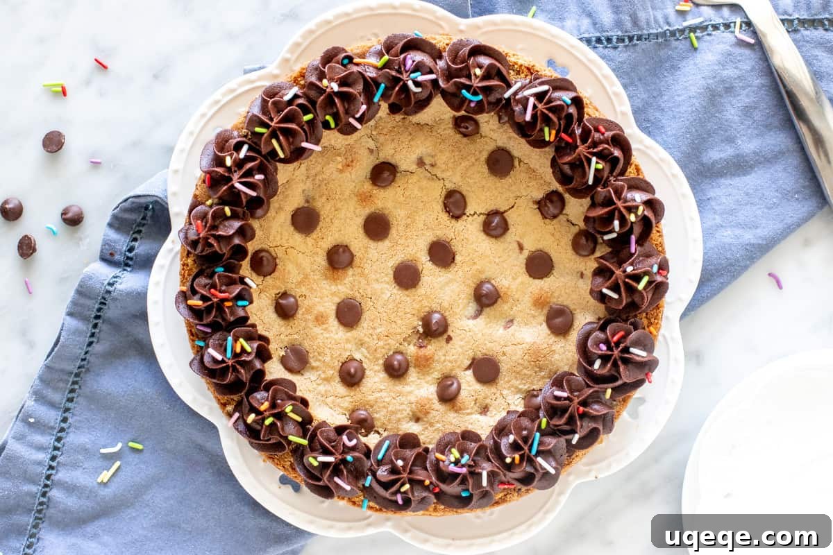 Ultimate Chocolate Chip Cookie Cake 4 A close-up view of the chocolate chip cookie cake, highlighting its rich texture and plentiful chocolate chips before frosting.