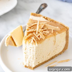 Slice of caramilk cheesecake