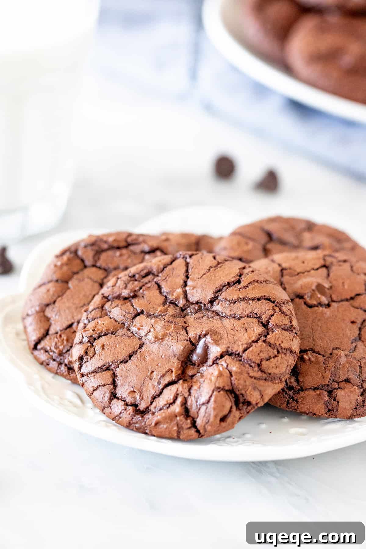 Gourmet Brownie Cookies 2 A plate stacked high with beautifully crinkled, rich chocolate brownie cookies, promising a fudgy delight.