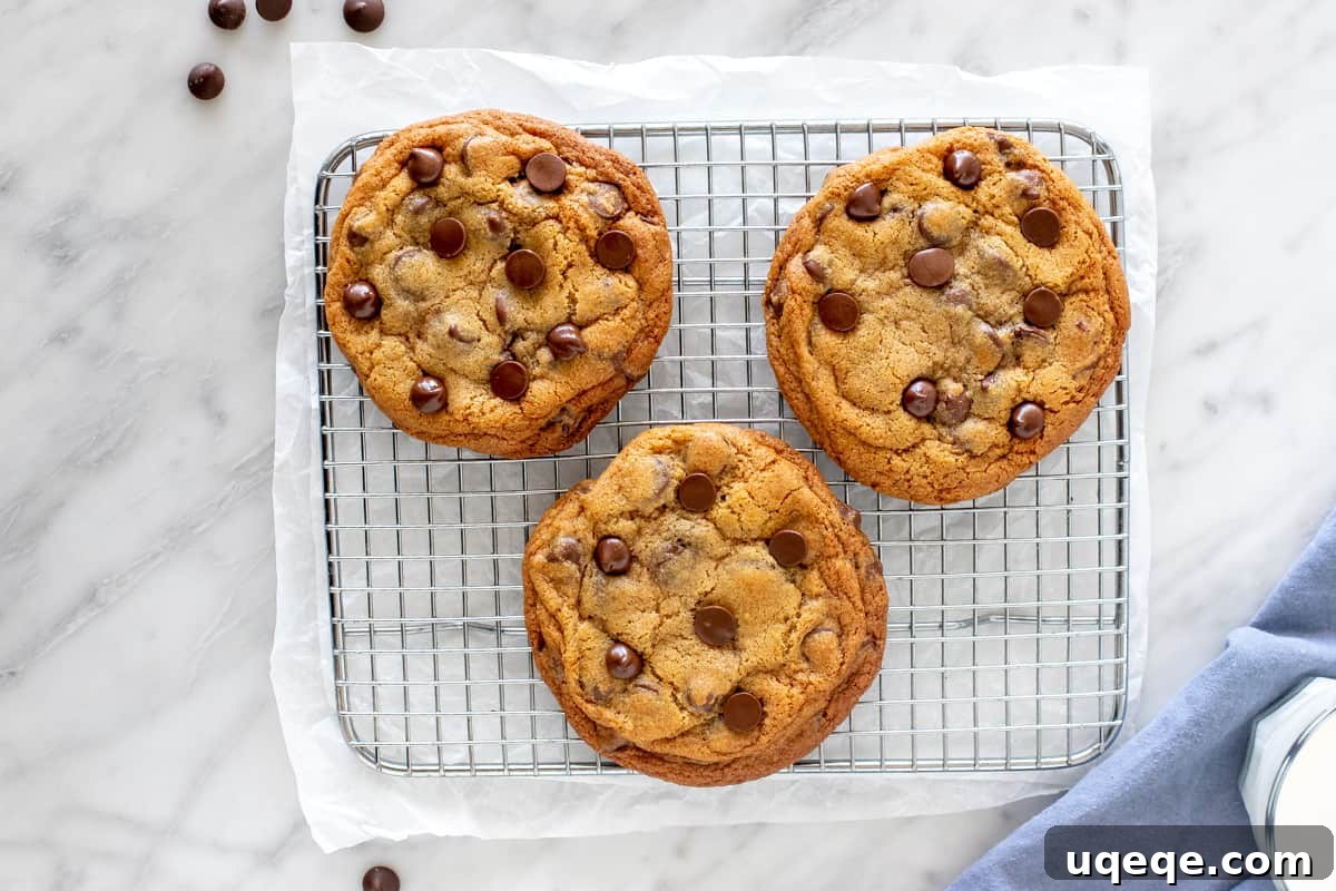Signature Bakery Chocolate Chip Delights 3 Three perfectly baked bakery-style chocolate chip cookies cooling on a wire rack, showcasing their golden edges and plentiful chocolate chips.