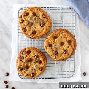 Signature Bakery Chocolate Chip Delights 6 Three golden brown bakery-style chocolate chip cookies cooling on a wire rack.