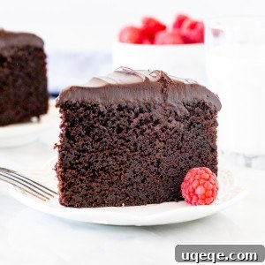 Piece of chocolate mud cake with ganache on top