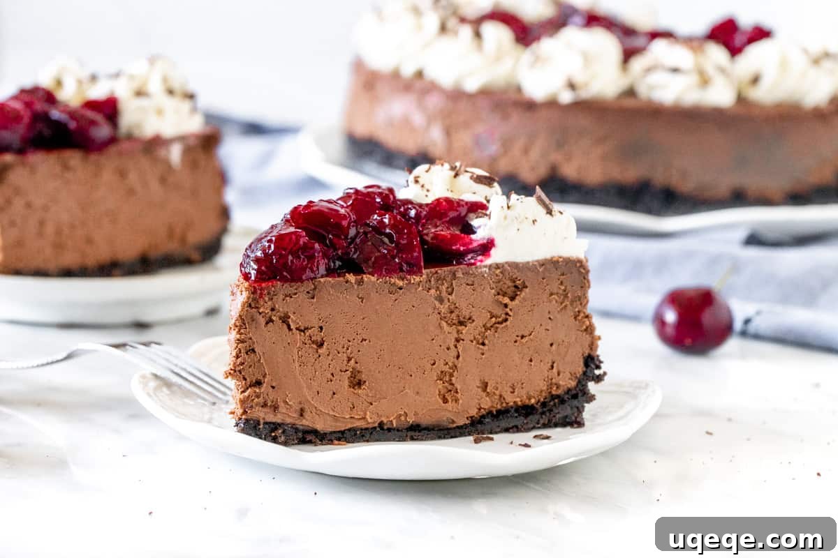 A perfectly sliced piece of Black Forest Cheesecake revealing its creamy chocolate layers and cherry topping