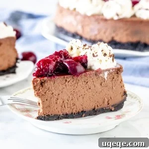 Slice of chocolate cherry cheesecake on a plate