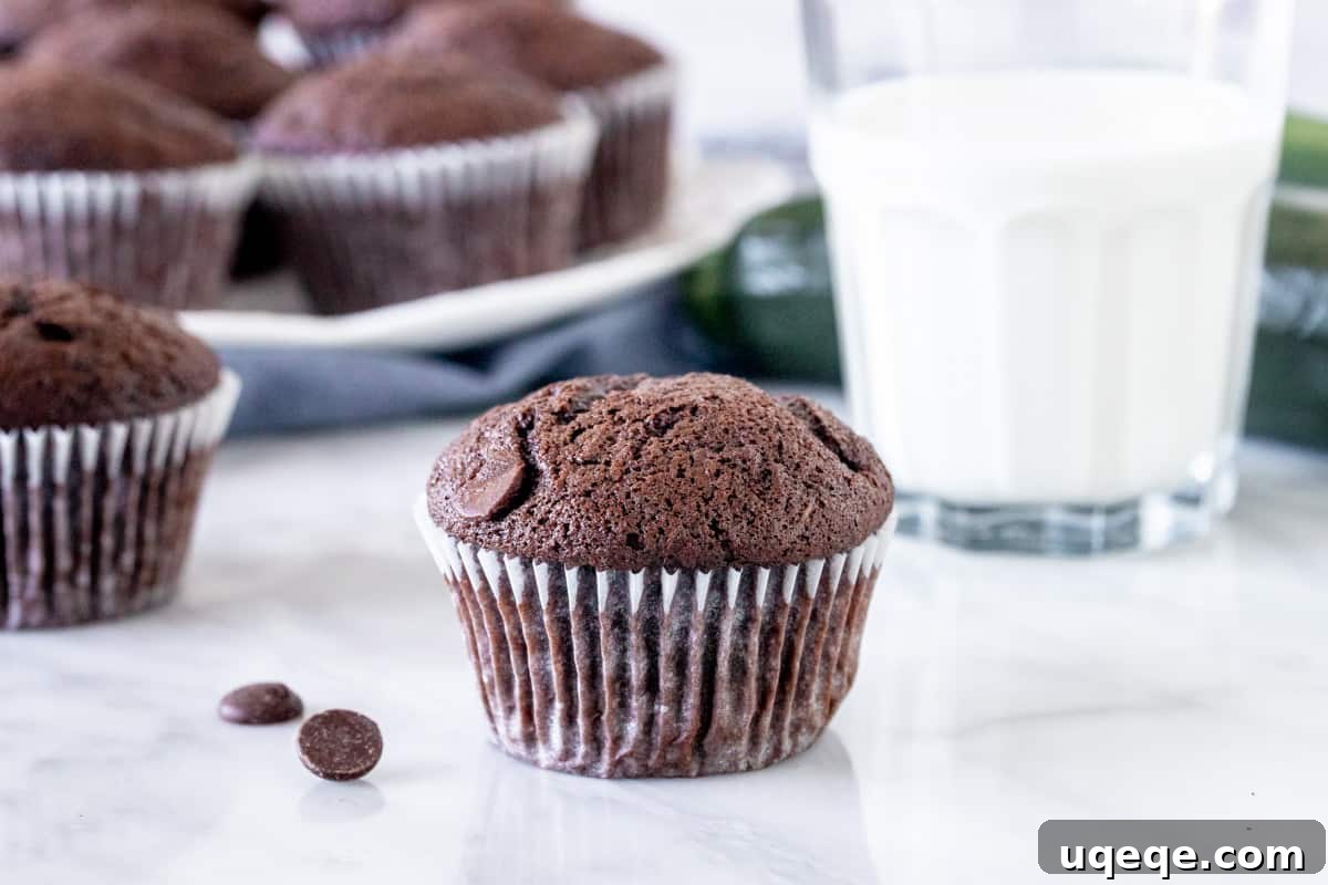 A perfectly baked chocolate zucchini muffin displayed next to a refreshing glass of milk, highlighting its rich color and inviting texture.