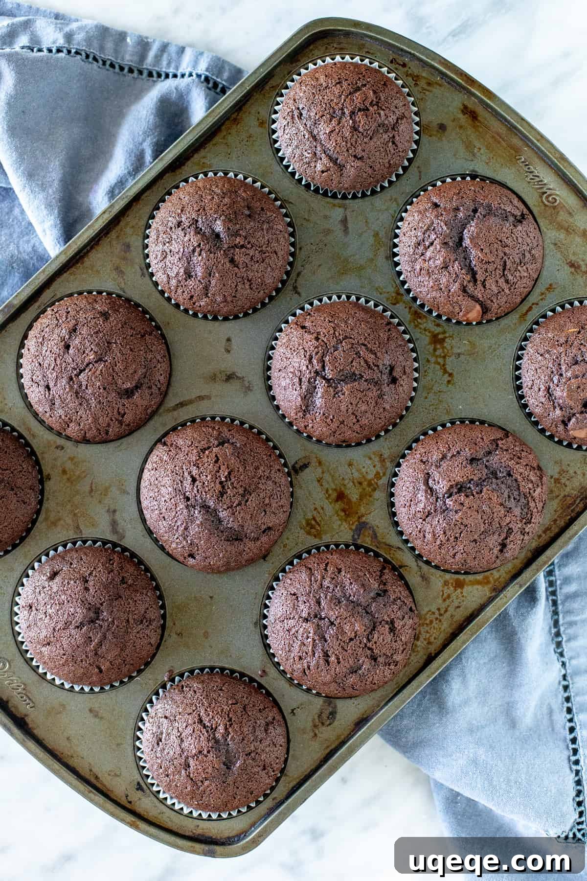 A fresh pan of 12 warm chocolate zucchini muffins, perfectly baked with golden-brown, domed tops, ready to be enjoyed.