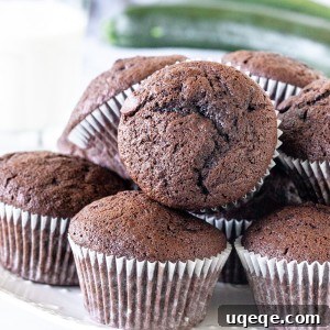 Plate of chocolate zucchini muffins