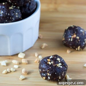 Finished Bite-sized Peanut Butter Chocolate Energy Bites