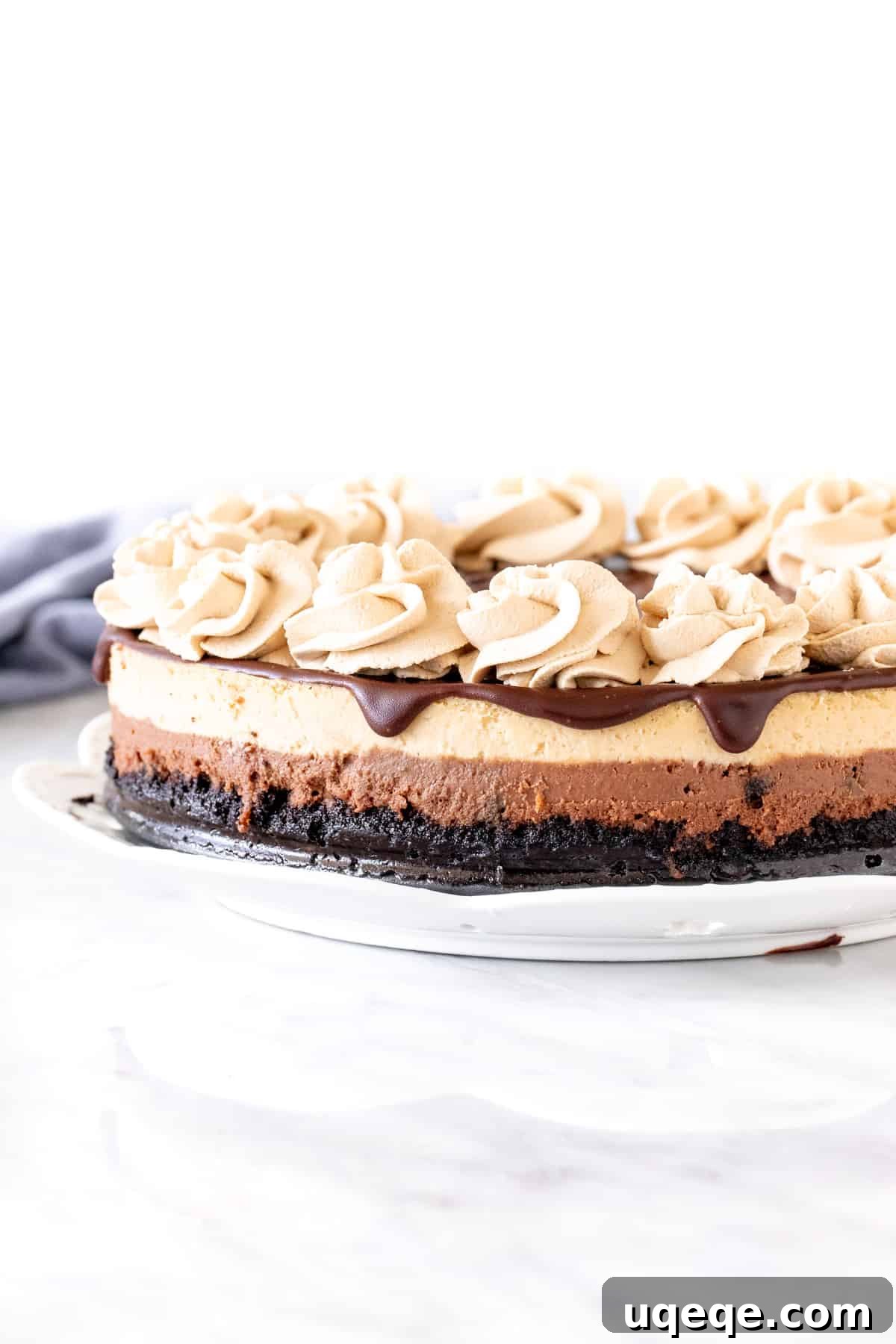 Layered mocha cheesecake with chocolate topping and coffee whipped cream on top, ready to be served