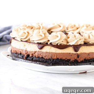 Layered mocha cheesecake with Oreo crust and chocolate on top.