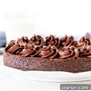 Chocolate cookie cake with chocolate frosting piped around the edges