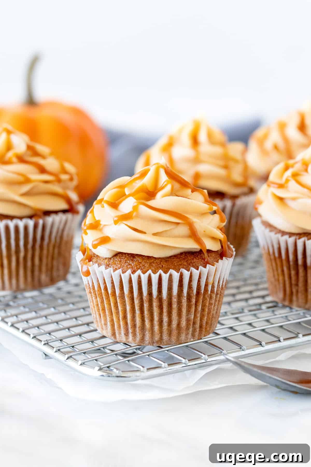 Rich Pumpkin Spice Cupcakes with Caramel Cream Cheese Swirl 2 Moist, fluffy and tender - these pumpkin cupcakes with caramel cream cheese frosting make for the most delicious fall treat. The cupcakes have a warm pumpkin flavor. Then the caramel cream cheese frosting is creamy, a little tangy and filled with salted caramel sauce.