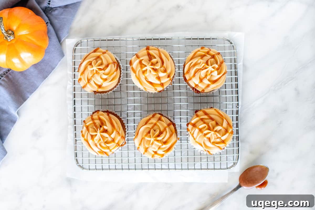 Rich Pumpkin Spice Cupcakes with Caramel Cream Cheese Swirl 3 6 cupcakes with caramel frosting and a drizzle of caramel, from above
