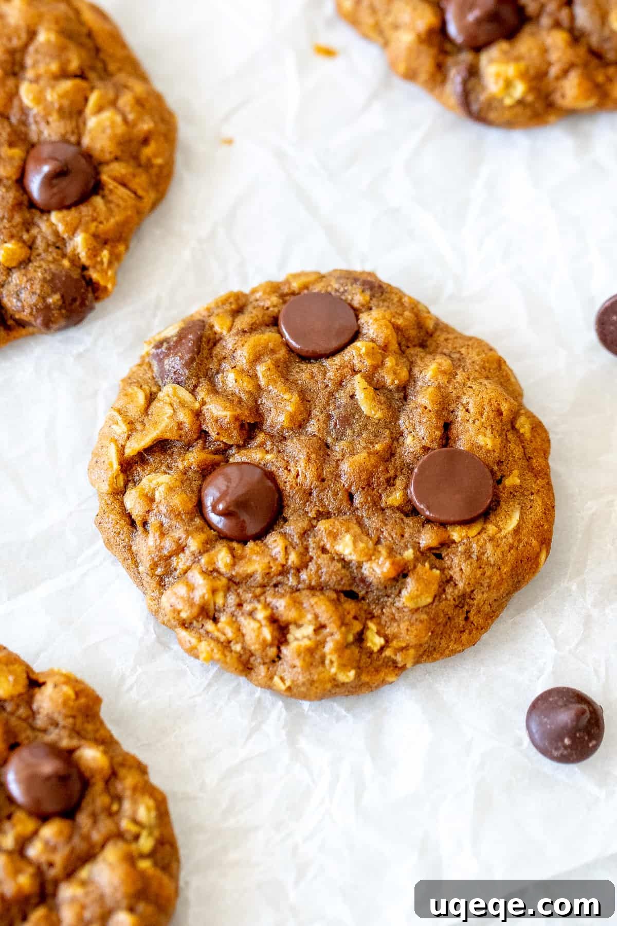 Chip pumpkin oatmeal cookies on baking paper.