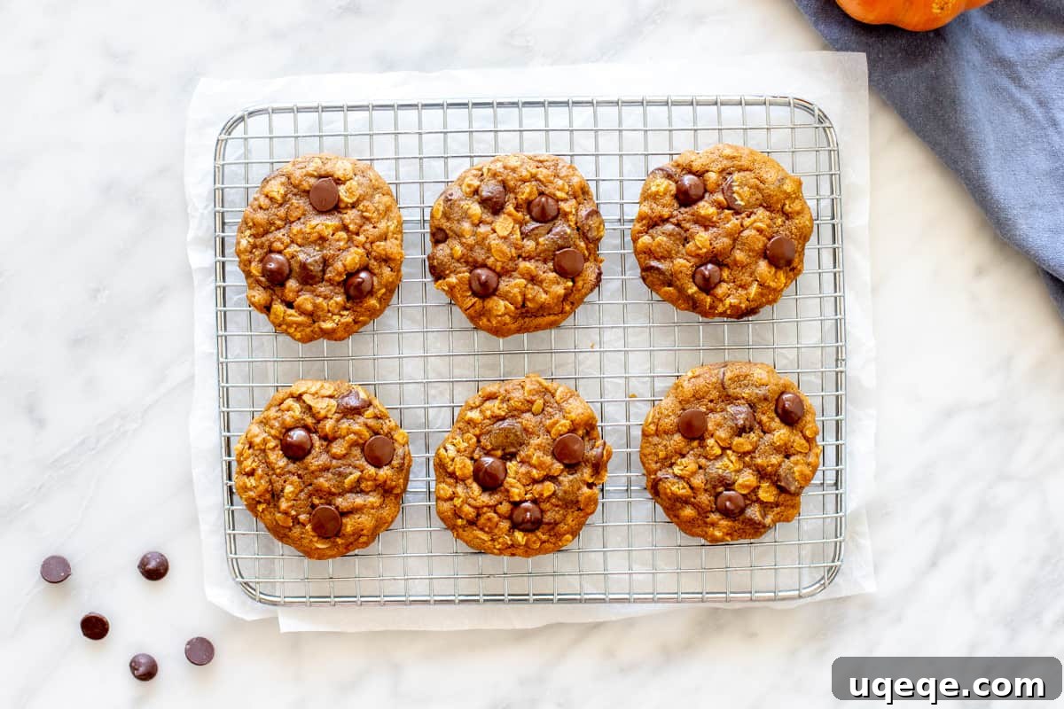 6 pumpkin oatmeal cookies on a cooling rack.