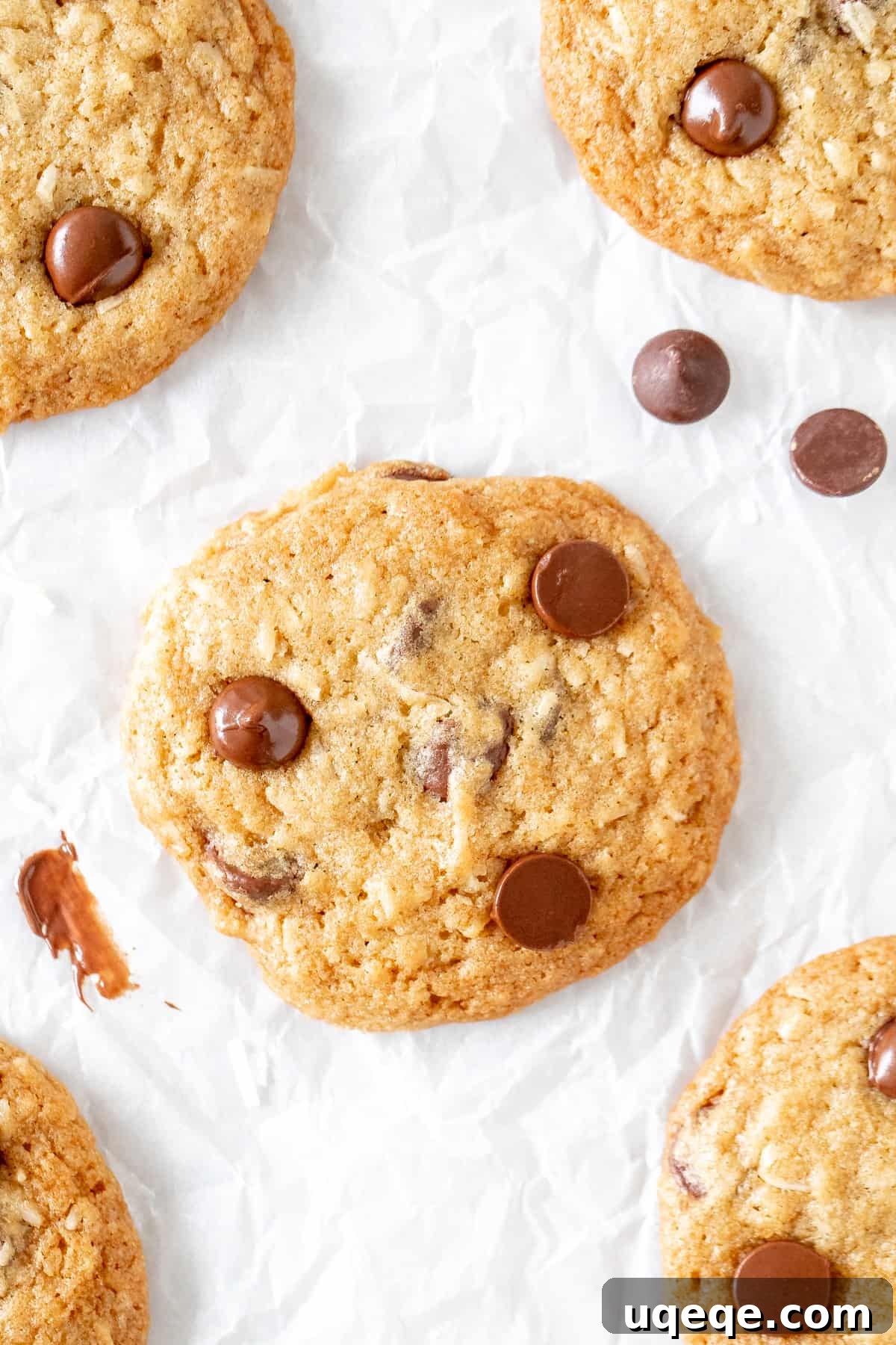 Irresistible Coconut Chocolate Chip Delights 2 Coconut chocolate chip cookies on parchment paper, perfectly baked and golden