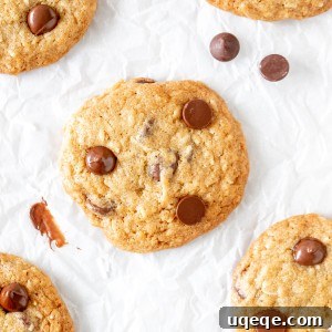 Delicious chocolate chip cookies made with coconut, presented on a plate