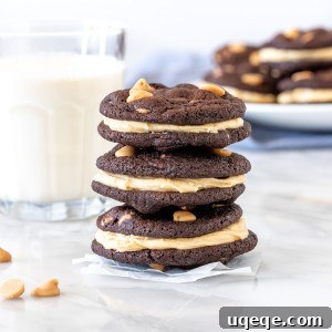 Stacked chocolate peanut butter sandwich cookies with visible peanut butter chips and creamy frosting