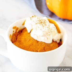 Pumpkin mug cake in a white teacup with whipped cream on top, ready to eat